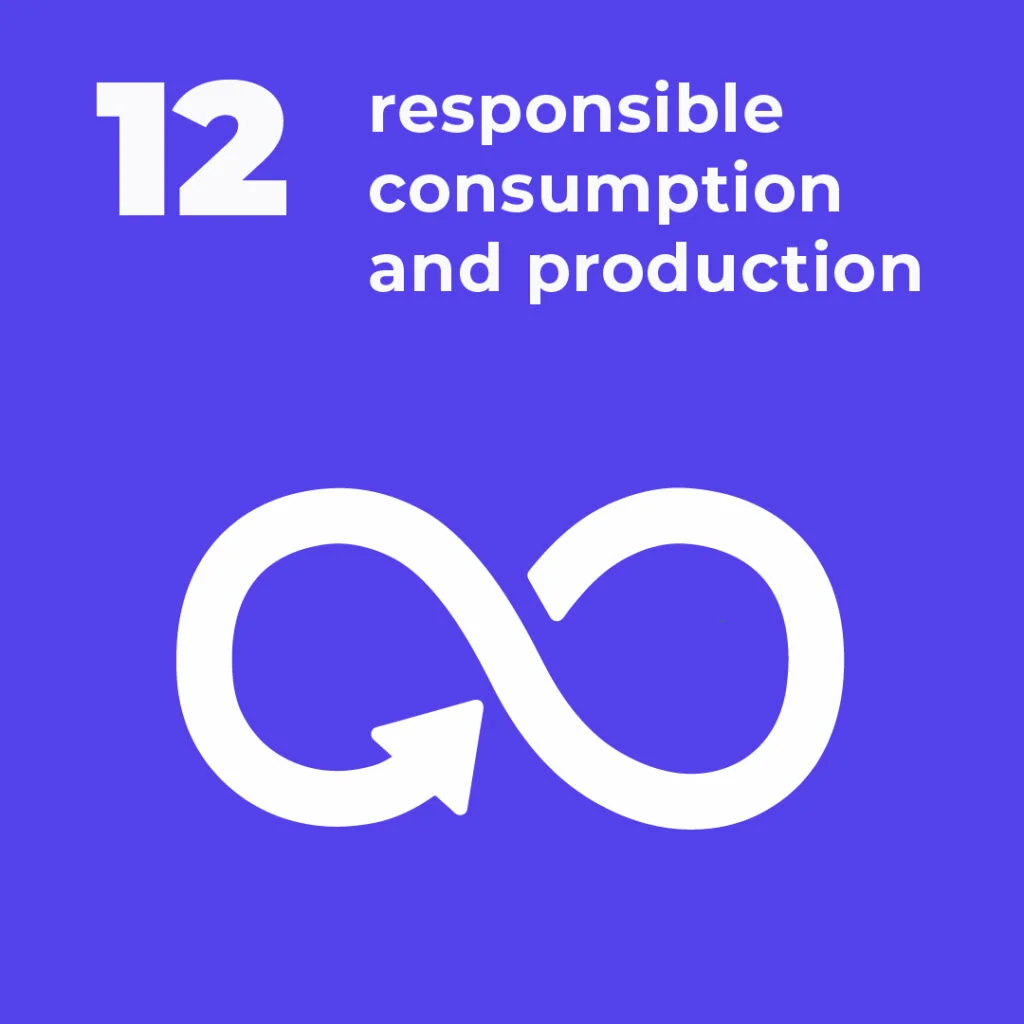 CSR: responsible consumption and production