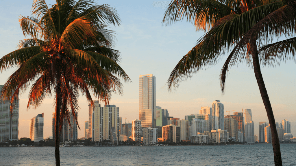 miami skyline
