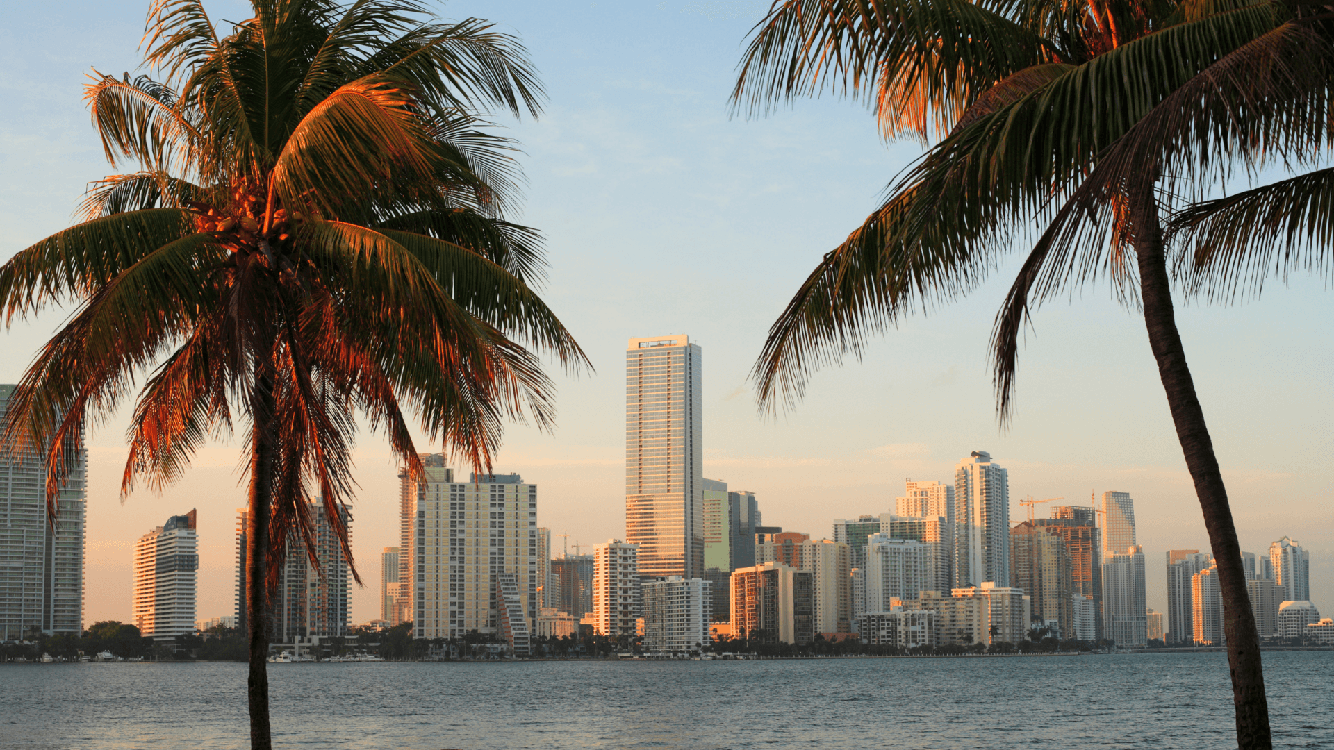 miami skyline